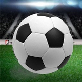 0228099:COM-WWW:0228099:COM